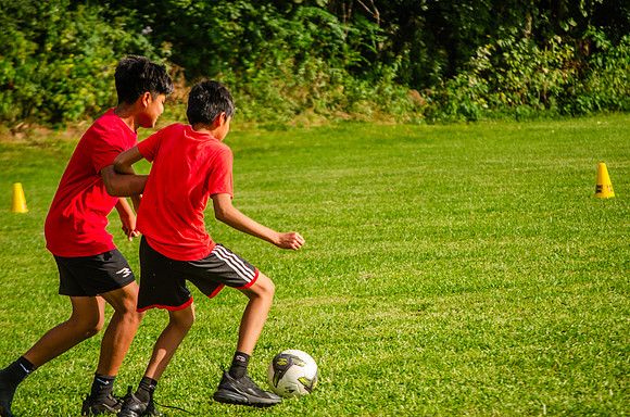 StJosephPicnic2023 (269 of 476)