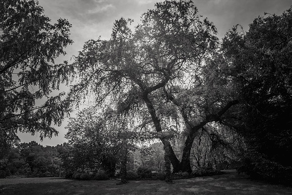 lakenjohnbefore (122 of 237)bw