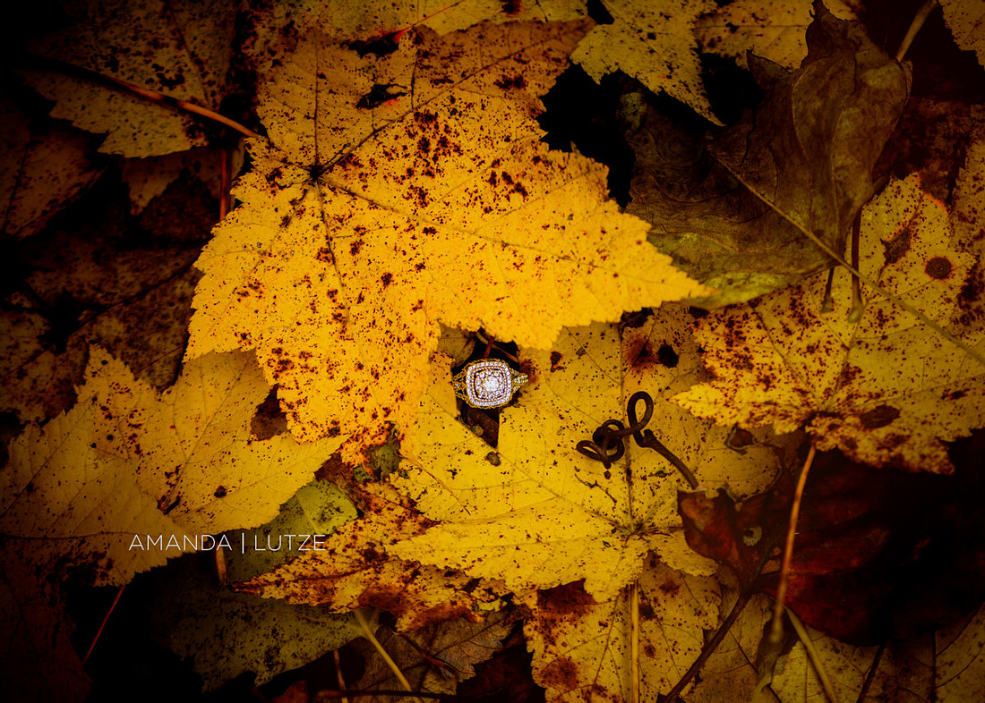 DSC_7473colorweb